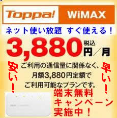 wimax(C}bNX)